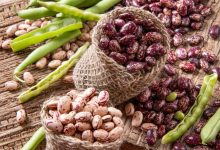 لوبیا چیتی صنعتی