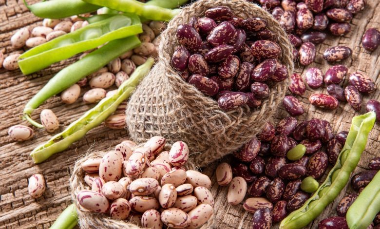 لوبیا چیتی صنعتی